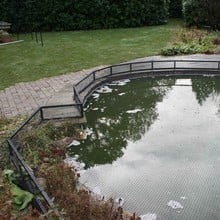 Raised Steel Pond Cover Large Irregular - Bespoke Product