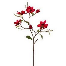 Red Magnolia Branch by Sia