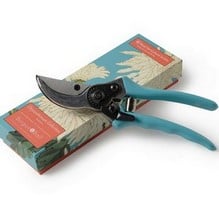 RHS Chrysanthemum Secateurs