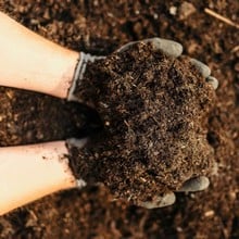 Rolawn Topsoil and Soil Improver