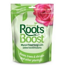 Roots Boost Mycorrhizal