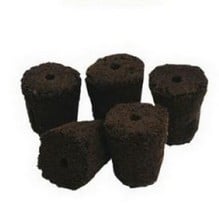 Root!t Natural Rooting Sponges Refill (50 pack)