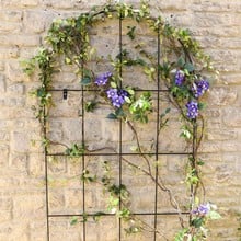 Round Topped Wall Trellis Panel