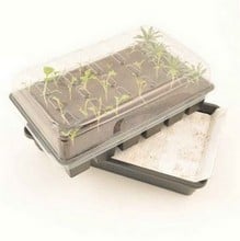 Seed Starter Self Watering Propagation Kit