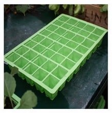 Seed Tray Growing