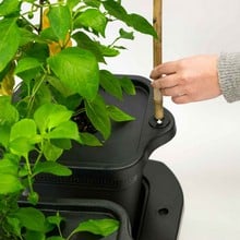 Self Watering Quadgrow Planter