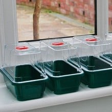 Self-Watering Super 7 Propagator