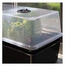 Self Watering Windowsill Propagator Self Watering Windowsill Propagator