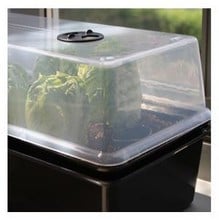 Self Watering Windowsill Propagator