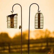 Shepherd's Crook Rust Finish Hanging Hooks - Pack of 6