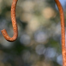 Shepherd's Crook - Rust Seconds - Special Offer