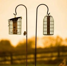 Shepherd's Crooks Black Finish Hanging Hook - 5 Pack