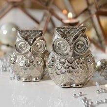 Silver Style Deco Owl Decorations by Sia