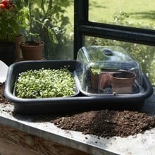 Small Grow House Propagating Kit