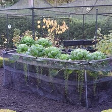 Snail Barrier Netting Snail Barrier Netting