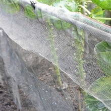 Snail Barrier Netting