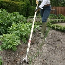 Sneeboer 3 tine long handled cultivator