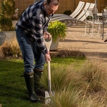 Sneeboer Border Spade with Steps and D-Handle Sneeboer Border Spade with Steps and D-Handle