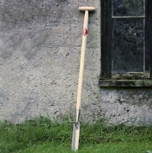 Sneeboer Dandelion Spade