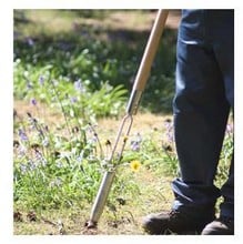 Sneeboer Dandelion Weeder/Bulb Planter