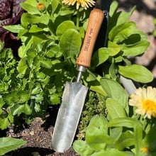 Sneeboer Great Dixter Trowel - Cherry Handle