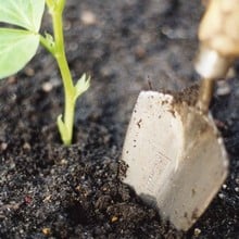 Sneeboer Hand Trowel