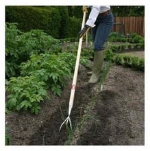 Sneeboer Long Handled Cultivator