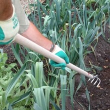 Sneeboer Narrow Long Handled Rake