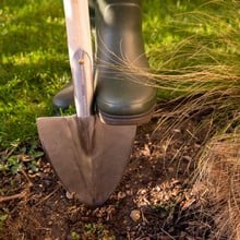 Sneeboer Pointed Spade with D-handle