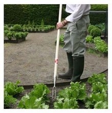 Sneeboer Two Pronged Weeder