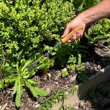 Sneeboer Weed Gouger Sneeboer Weed Gouger