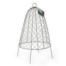 Sophie Conran Architectural Cloche