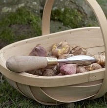 Sophie Conran Dibber