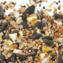Special Bird Feeder & Food Offer
