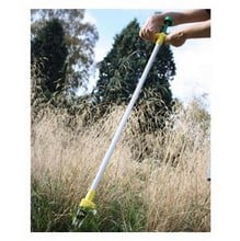 Speedy Weedy Speedy Weedy