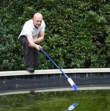 Spiral Blanketweed Brush