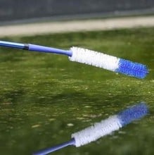 Spiral Blanketweed Brush