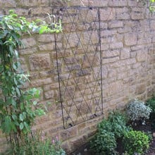 Standard Lattice Wall Trellis Panel x 2