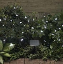Star Lights 100 White LED's