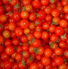 Sweetie Tomato (5 Plants) Organic