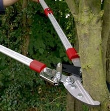 Telescopic Ratchet Lopper