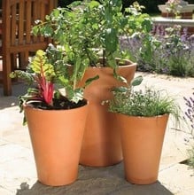 Terracotta Long Tom Pot - Small