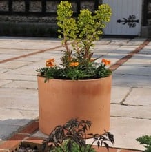 Terracotta Plant Pot