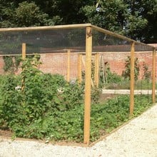 Timber Fruit Cage Door Kit (Additional)