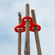 Tomato Plant Halos in Red