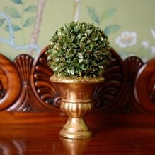 Topiary Ball Dusted Gold in Gold Urn by Gisela Graham