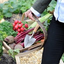 Traditional Sussex Trug