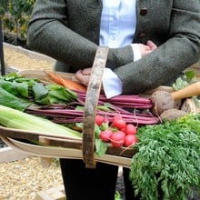 Traditional Sussex Trug