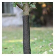 Tree Guards (5 Pack)