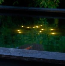 Underwater Pond Light